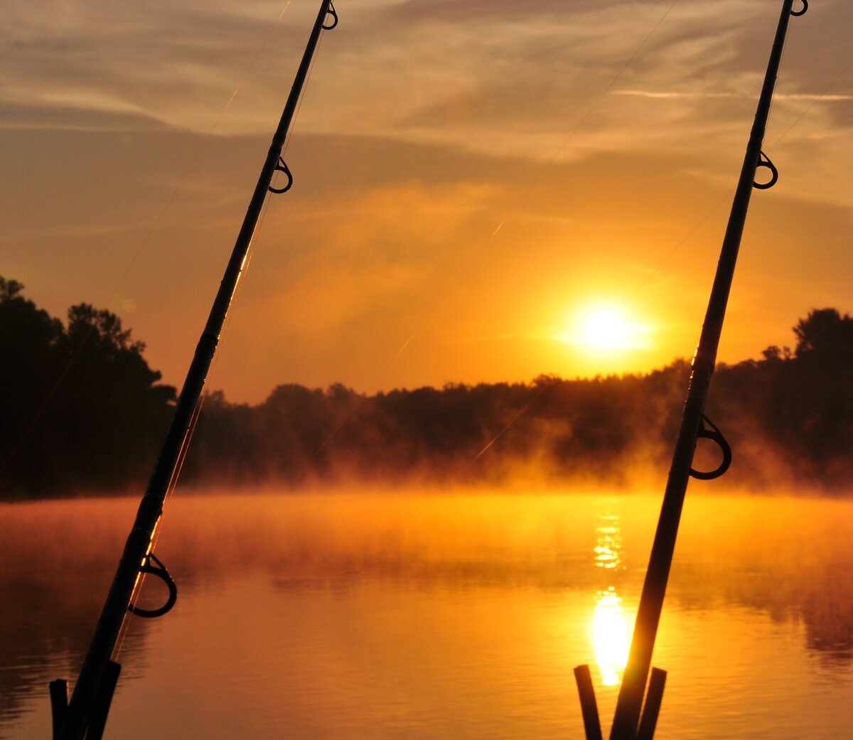 Природа рыбалка