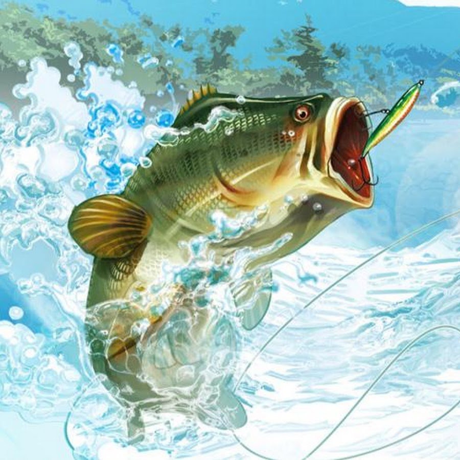 Акула Минимализм