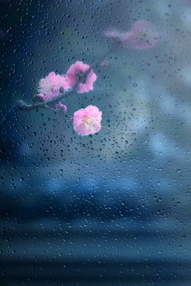 Обои на рабочий стол дождь