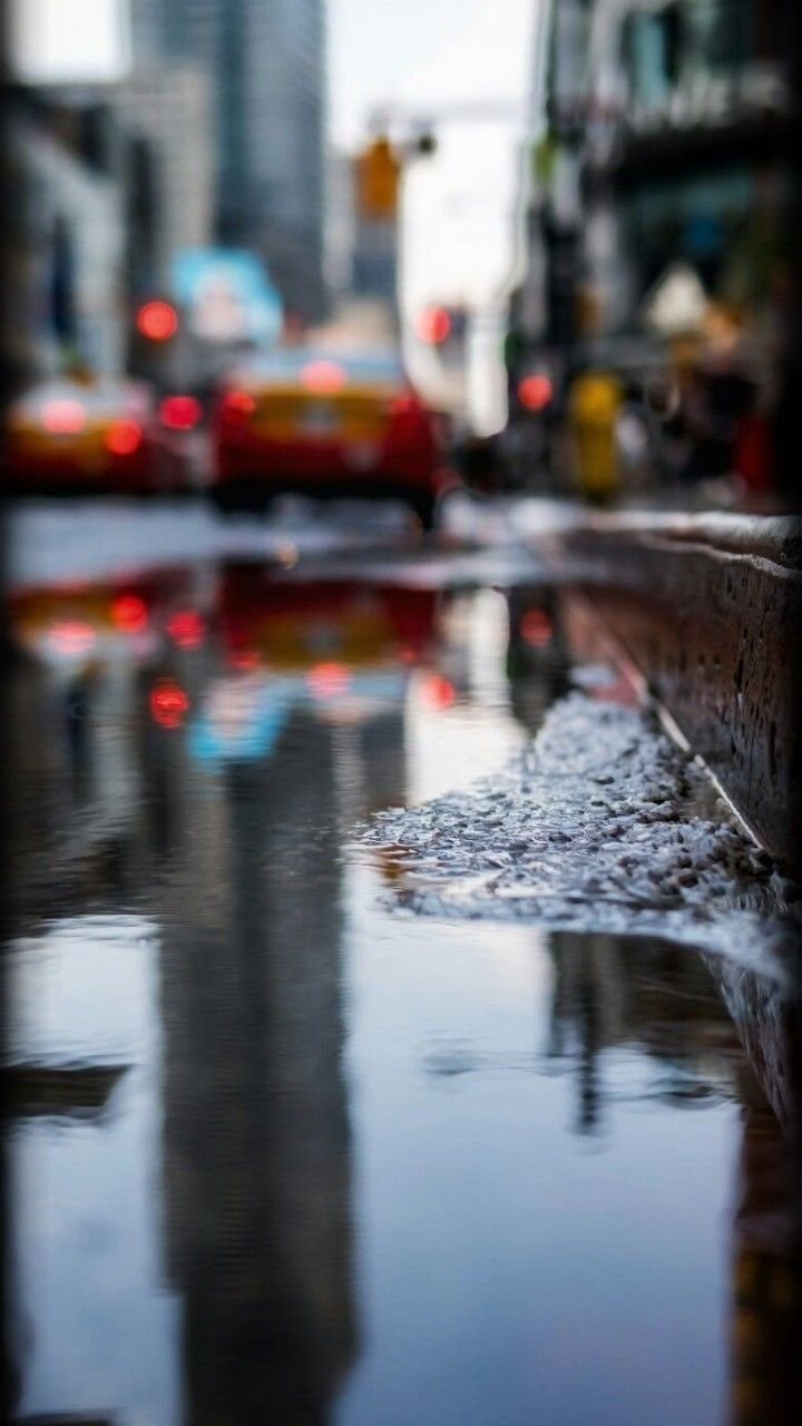 Дождливая осень