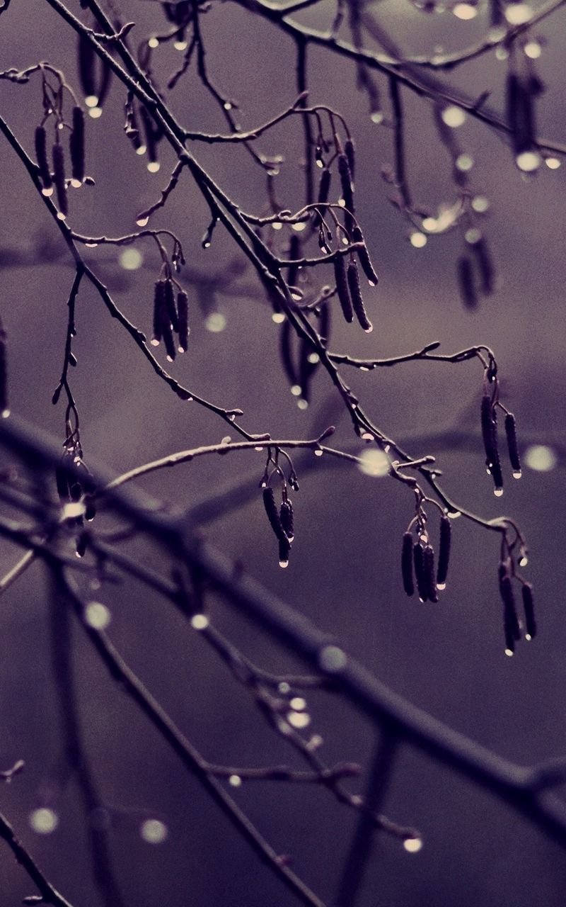 Ночной город дождь