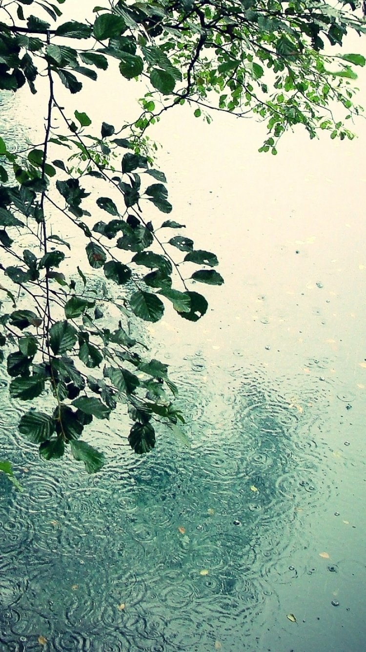 Девушка за мокрым стеклом