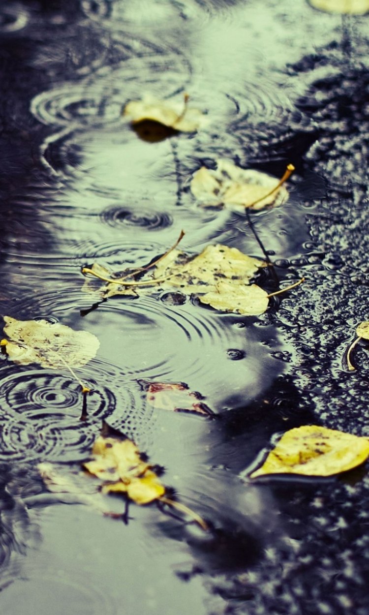 Капли воды на стекле