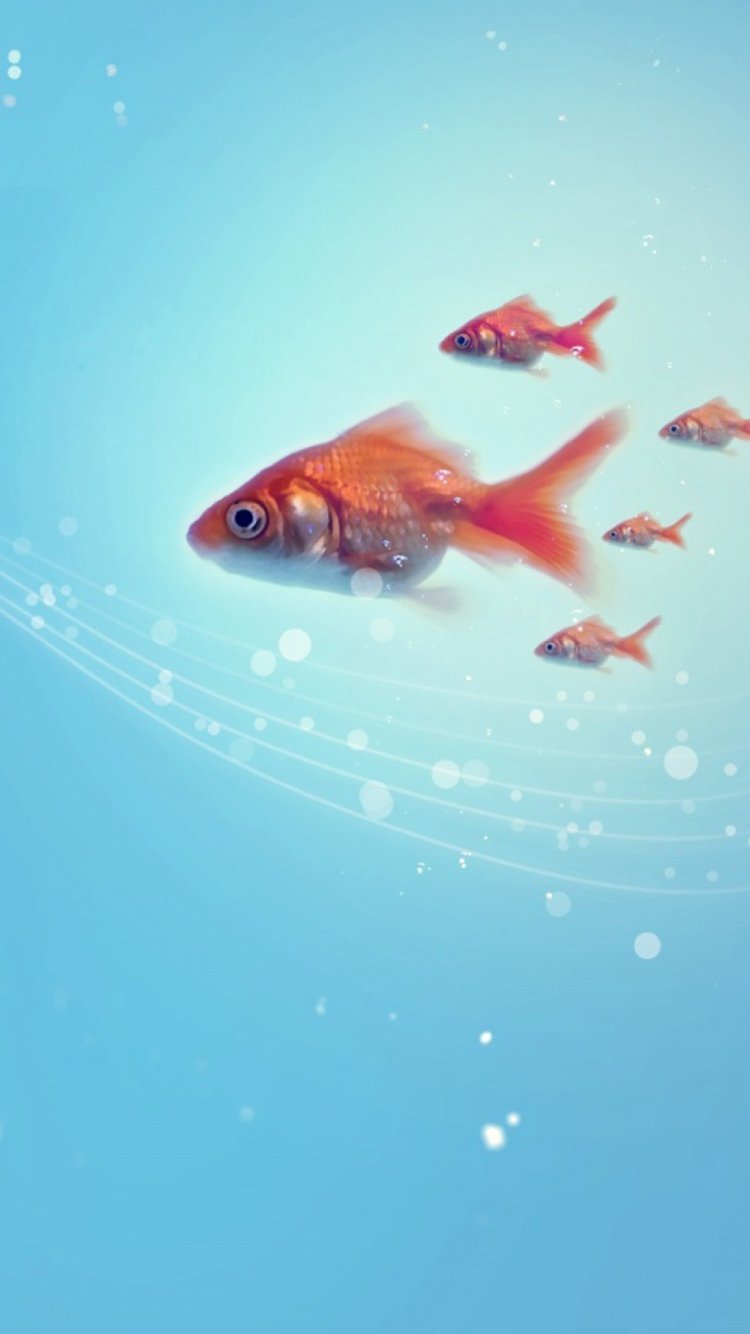 Заставка рыбки