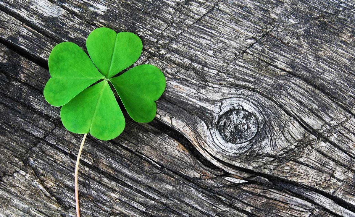 Дерево трилистник