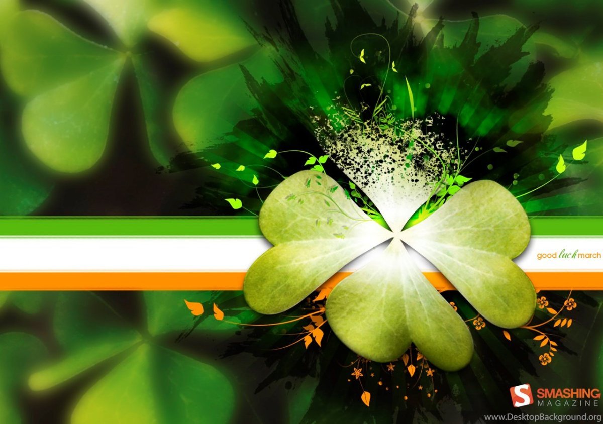 Орхидея фэн шуй