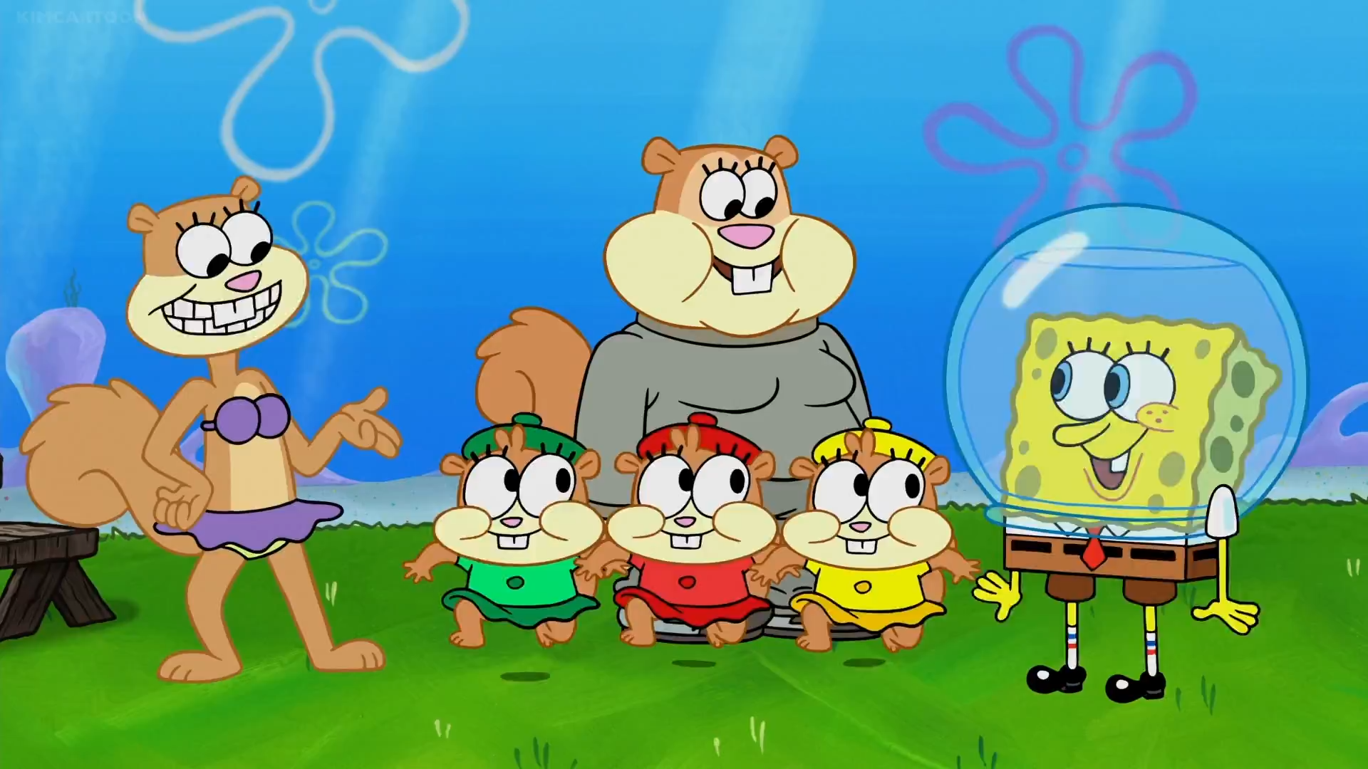 Spongebob sandy. Сэнди чикс. Сэнди из губка Боб квадратные штаны. Губка Боб квадратные штаны Сэнди чикс. Сэнди чикс дети.