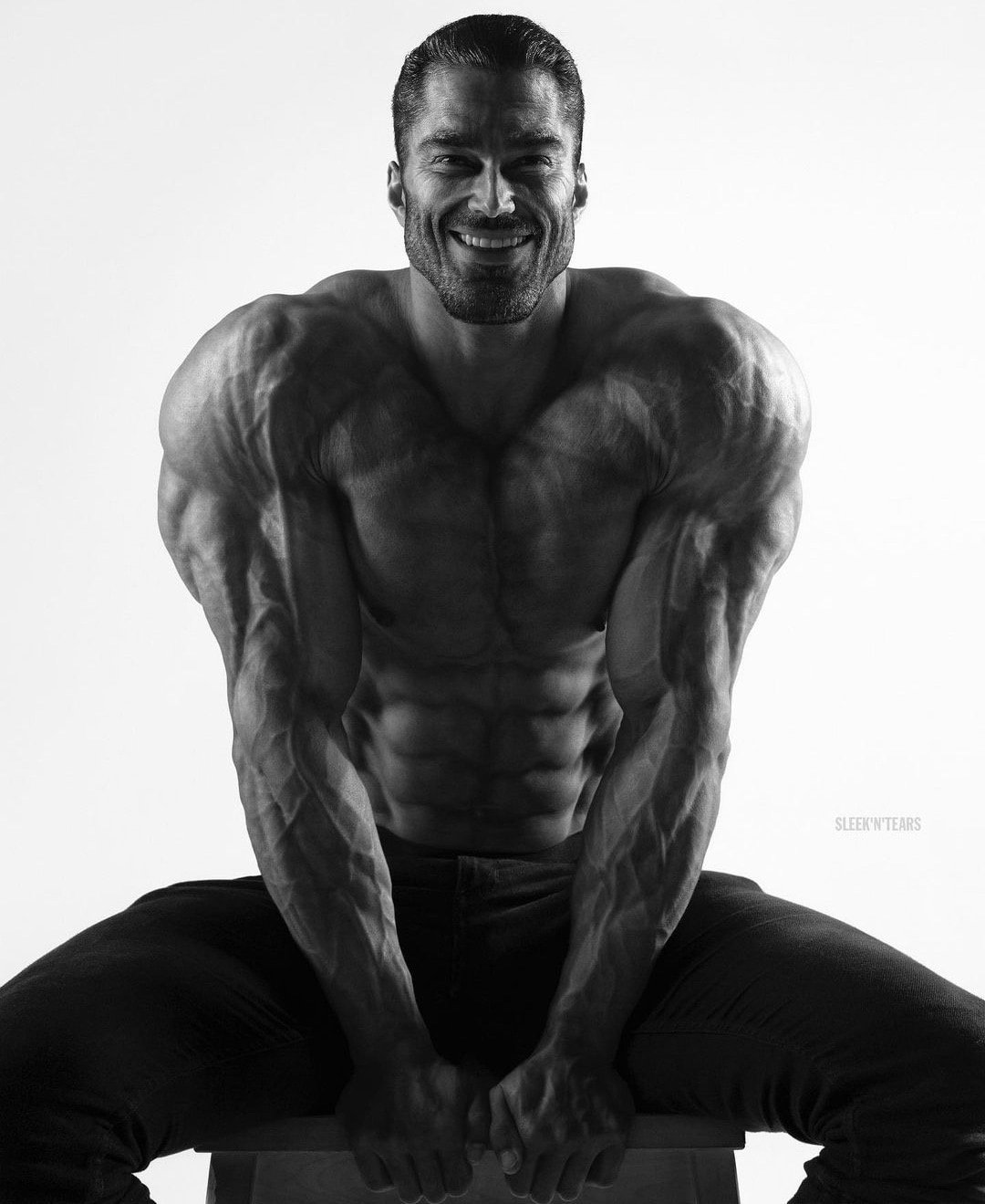 Стив гигачад модель