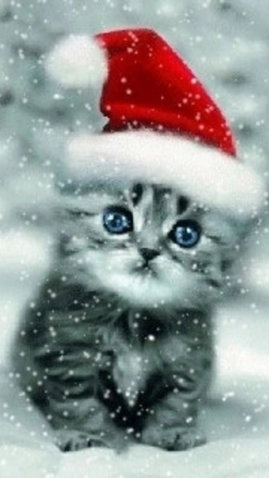 Милые новогодние котики