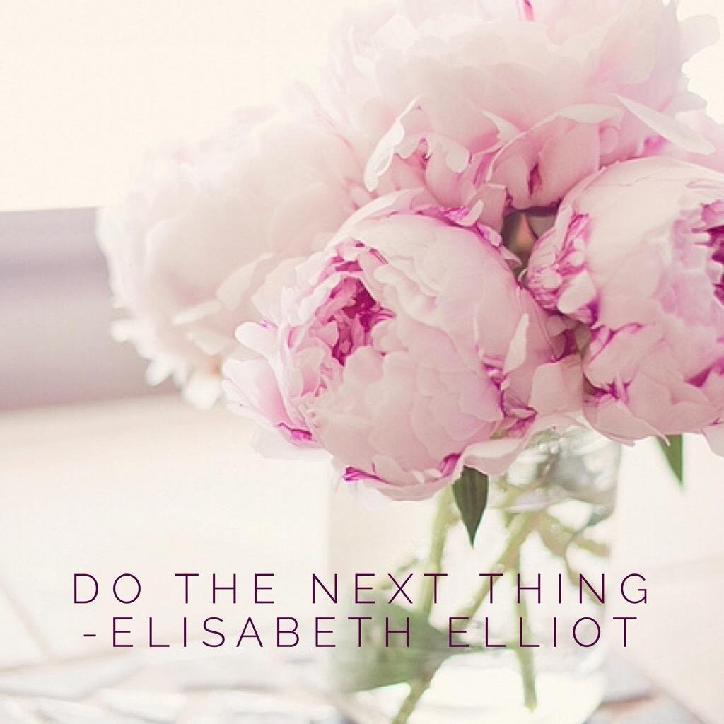 Пионы баннер