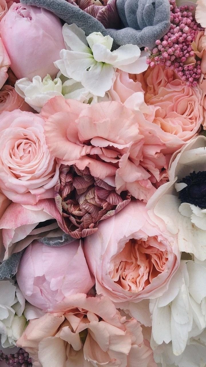 Цветы на темном фоне