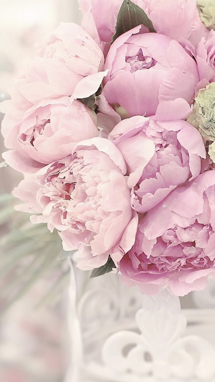 Капинос пионы