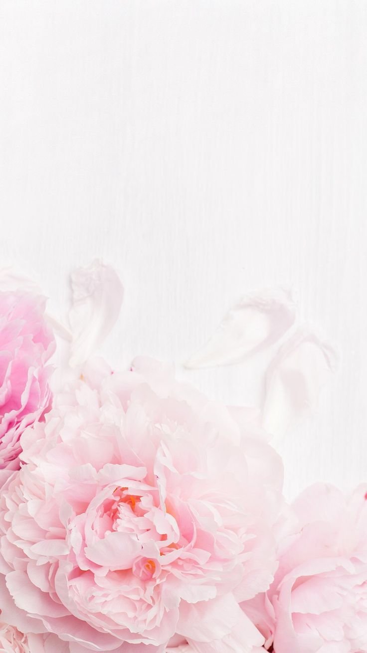 Визитки с пионами