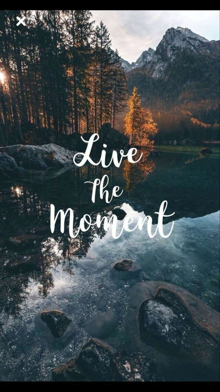 Обои на телефон с Цитатами