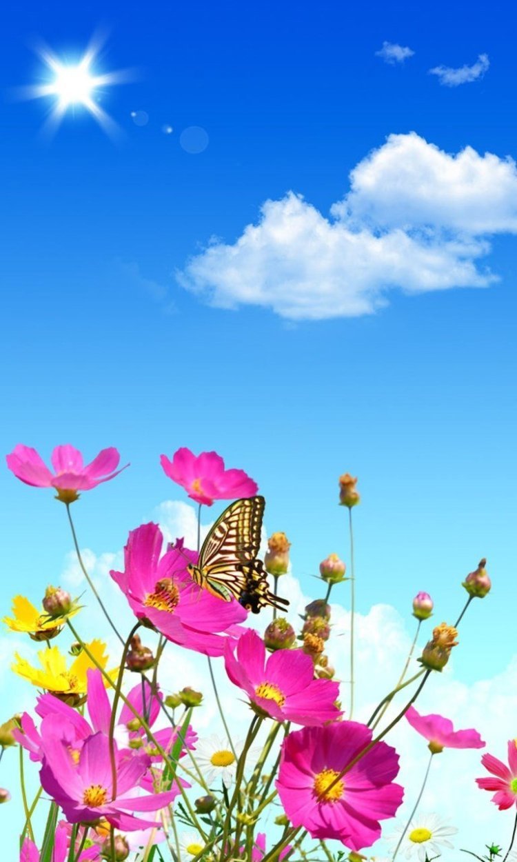 Цветы вертикальные