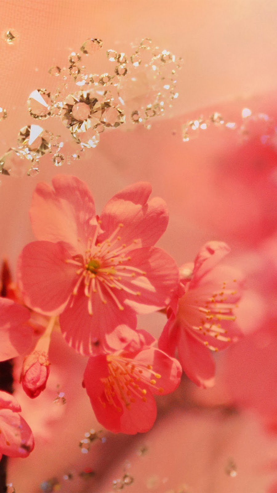 Цветы абстракция