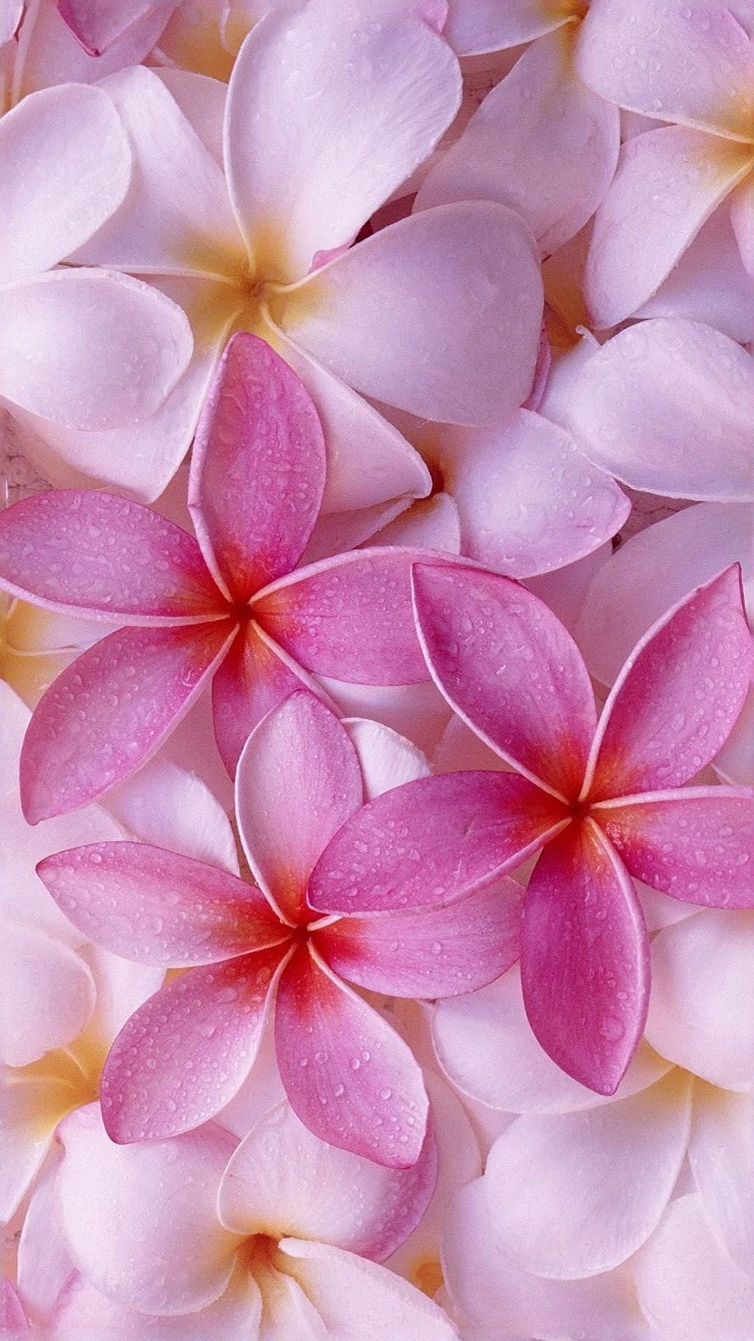 Яркий летний фон