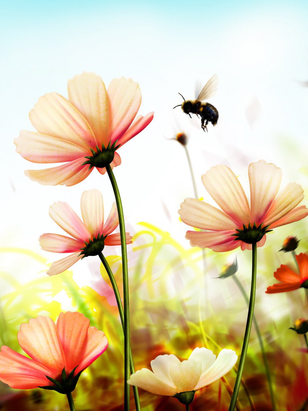 Цветы вертикальные