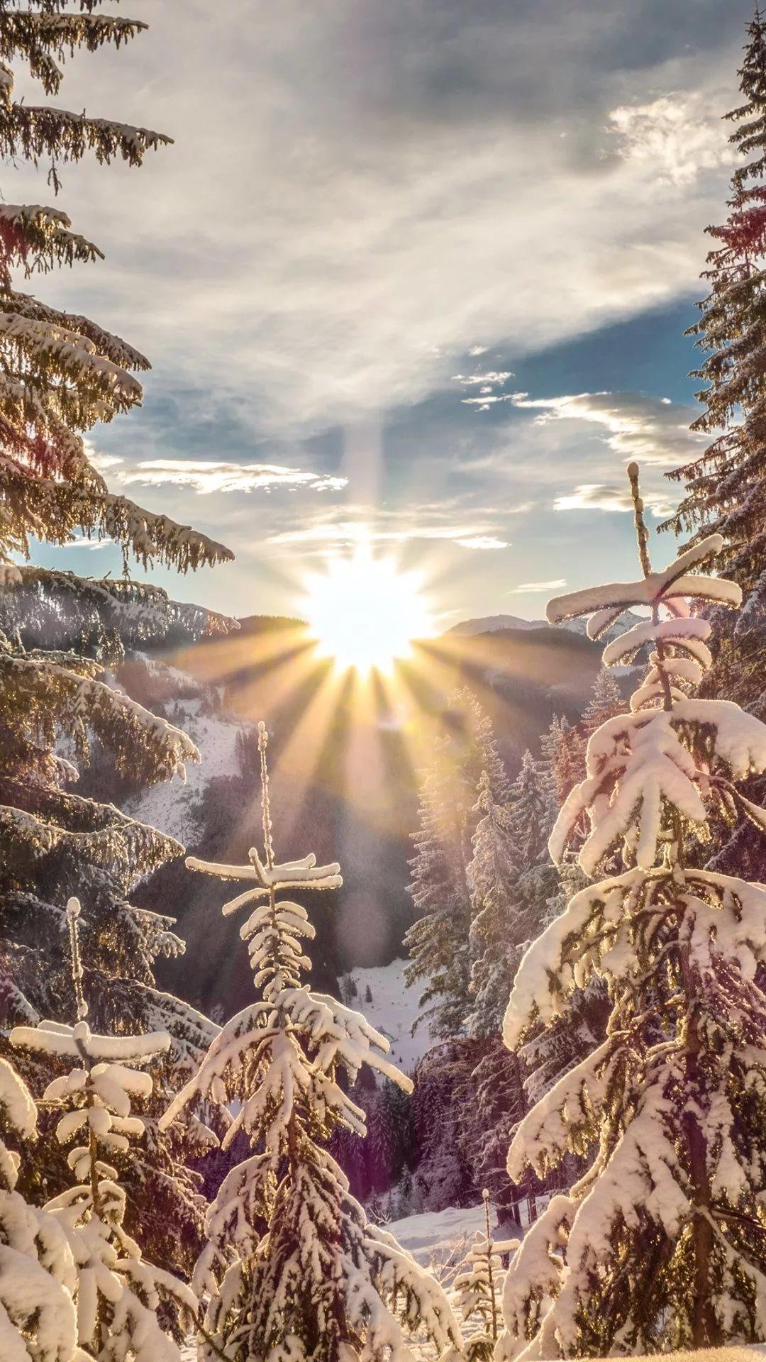 Новый год природа