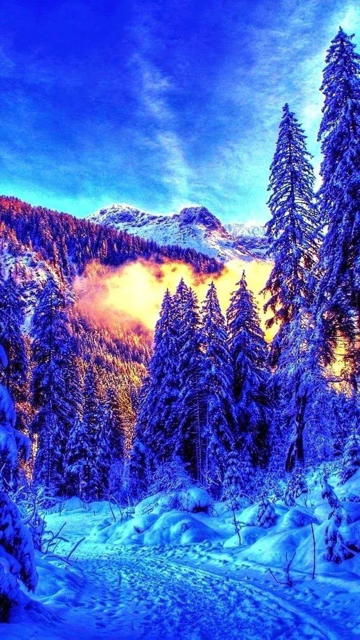 Сказочный зимний лес