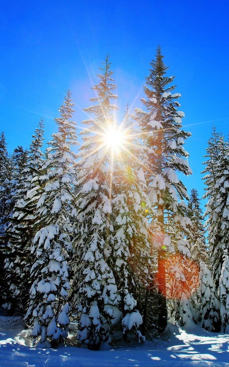 Национальный парк Банфф, Канада зима