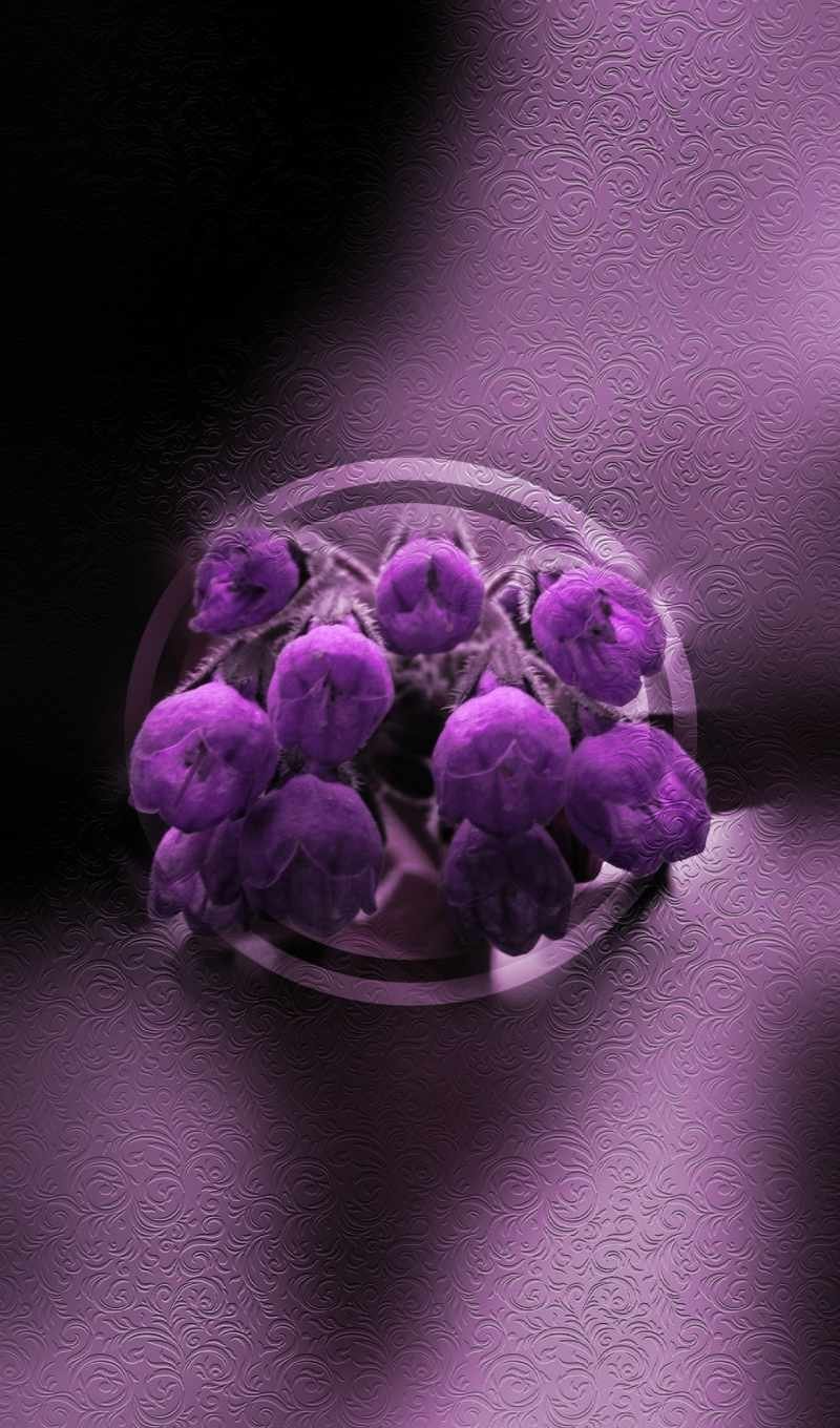 Цветы вертикальные