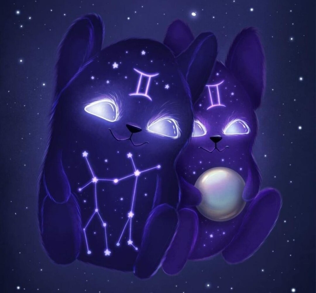 Милые знаки зодиака Близнецы