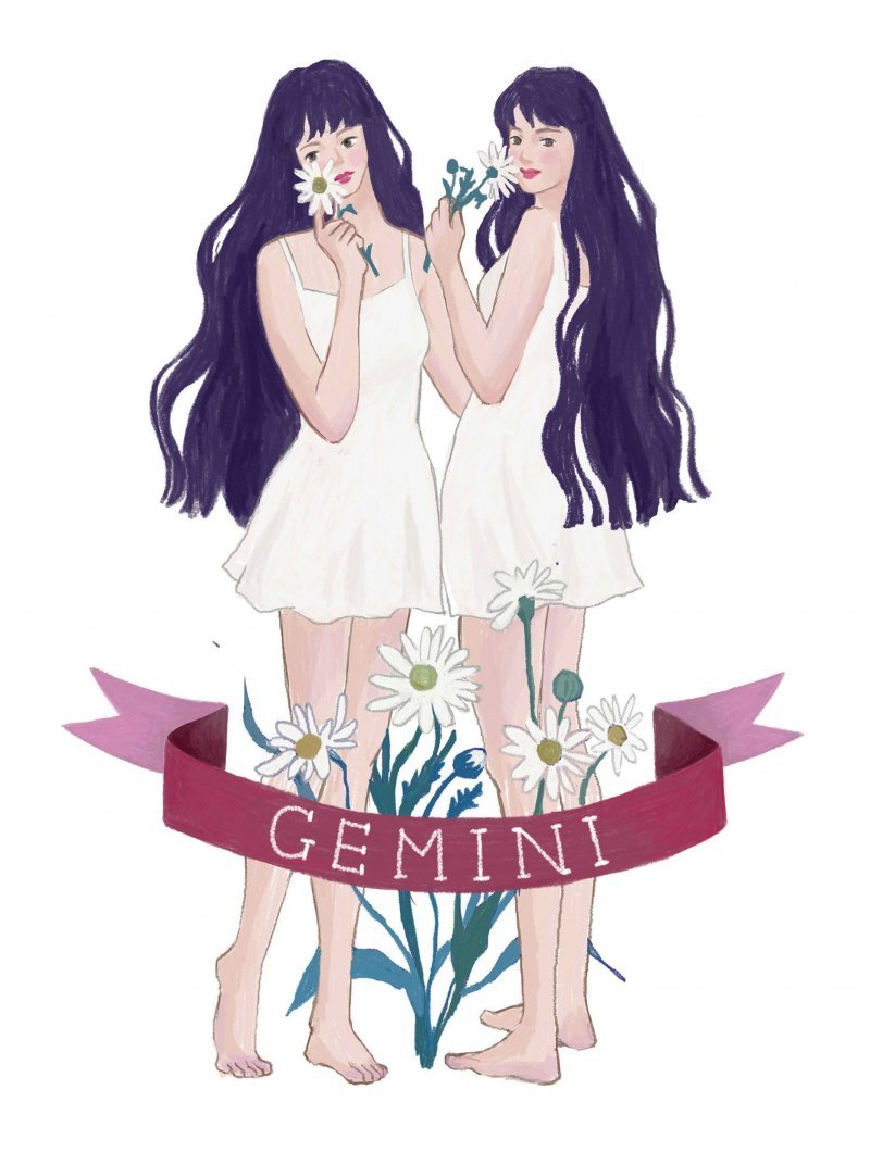 Хуманизированные знаки зодиака Близнецы