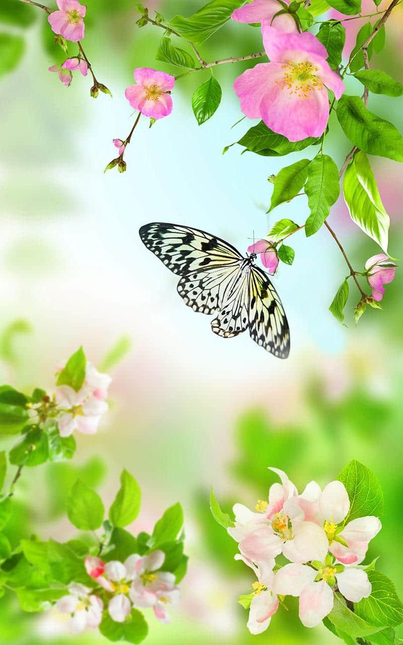 Красивый фон цветы