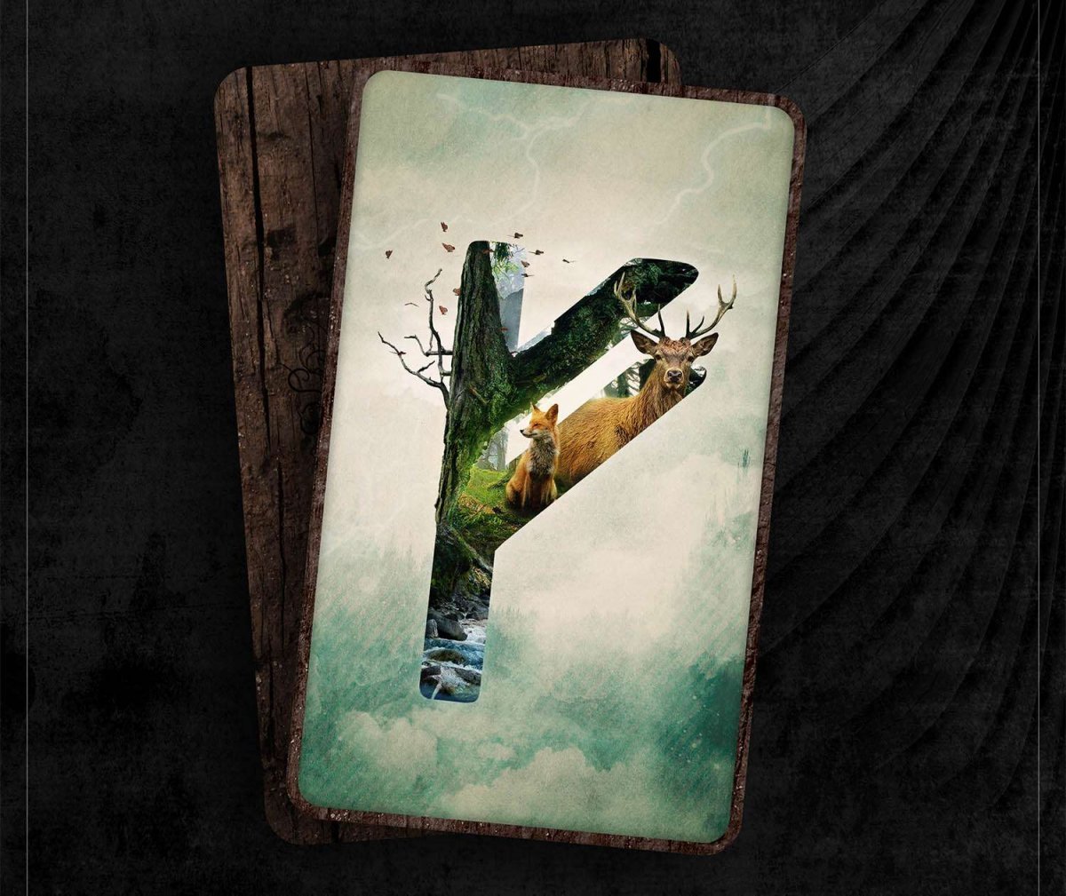 Руна Феху арт