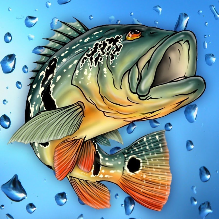 Рыболовные обои для рабочего стола