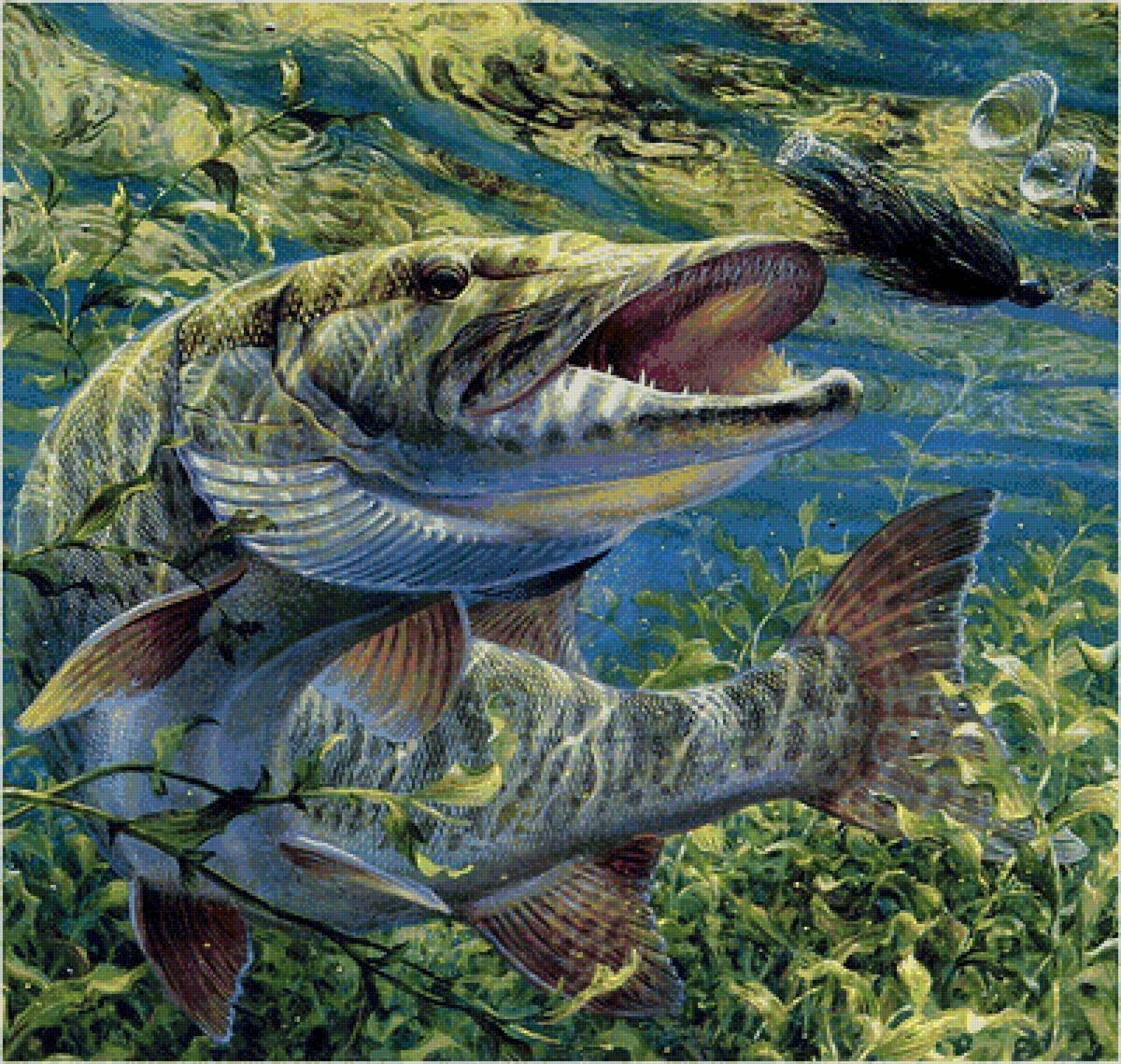 Травянка рыба