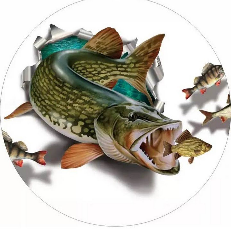 Зимняя рыбалка на щуку