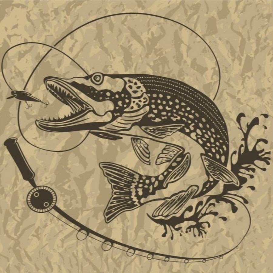 Подводная охота Волга щука