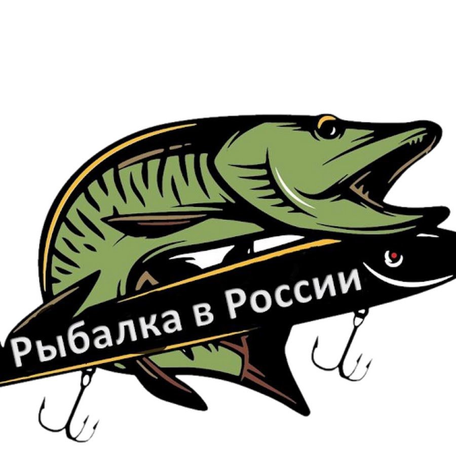 Плавники щуки