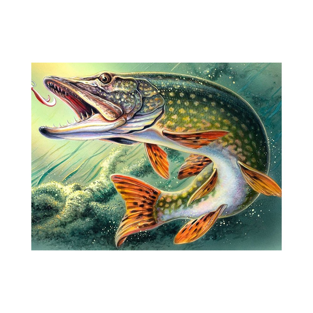 Щука картина