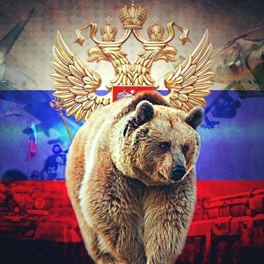 Russia bear steam фото 84