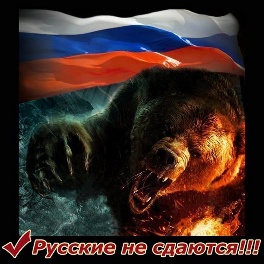 Russia bear steam фото 75