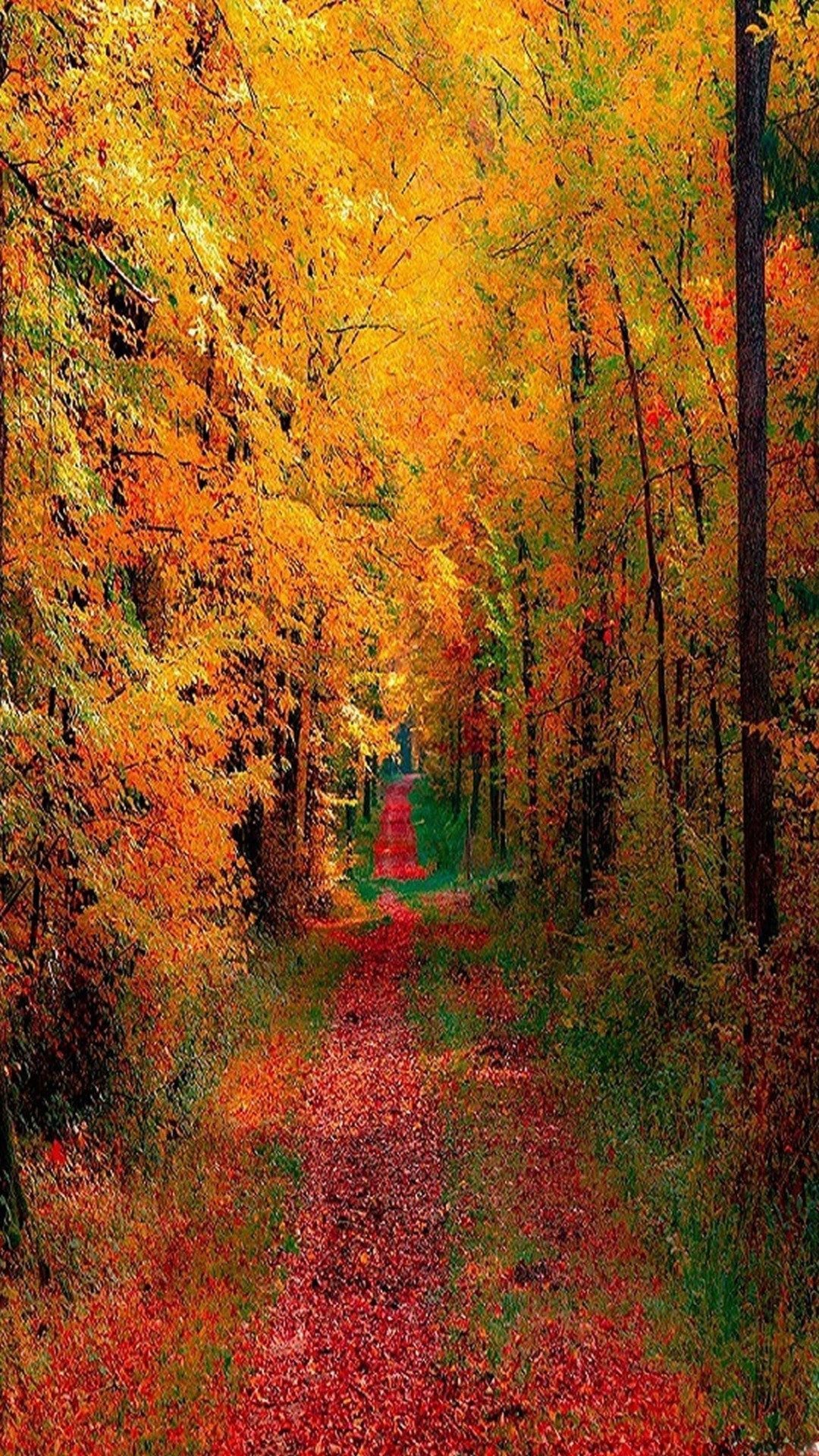 Природа осенью