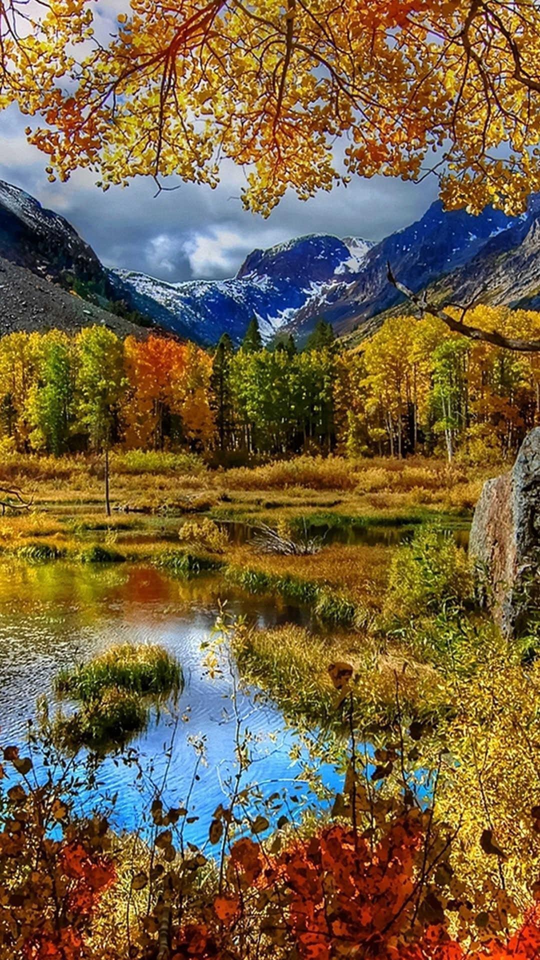 Осенние пейзажи на телефон