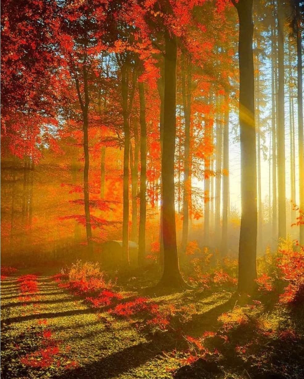 Солнечная осенняя погода