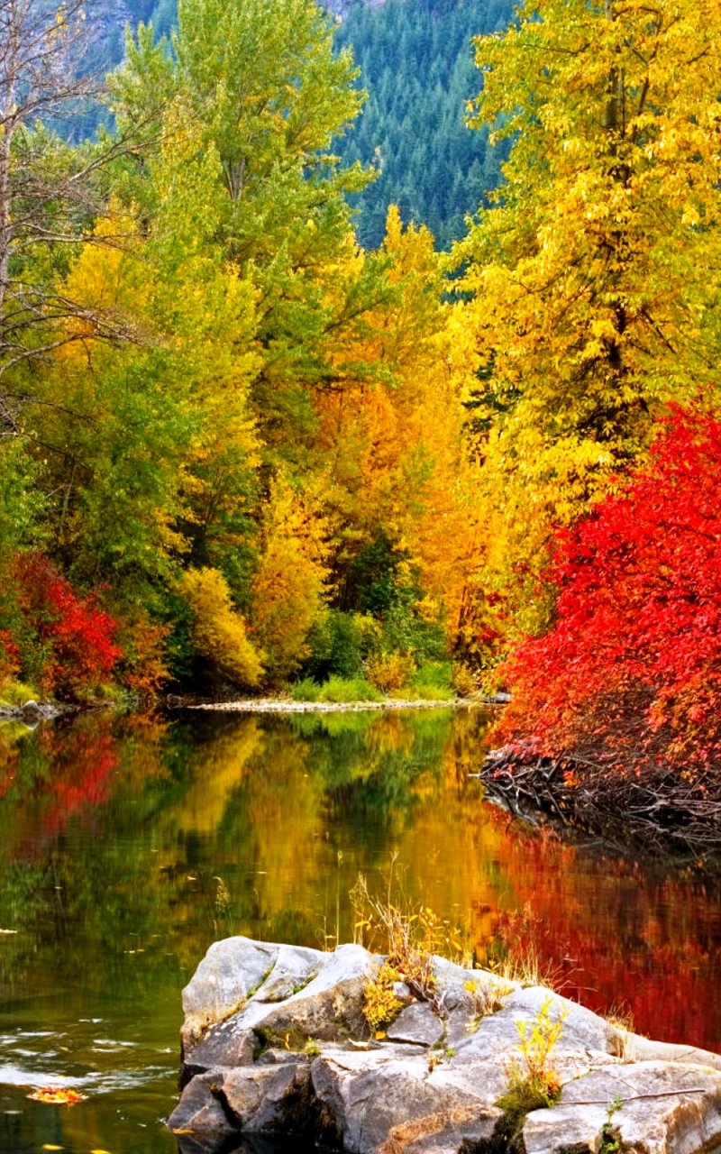 Осень картинки