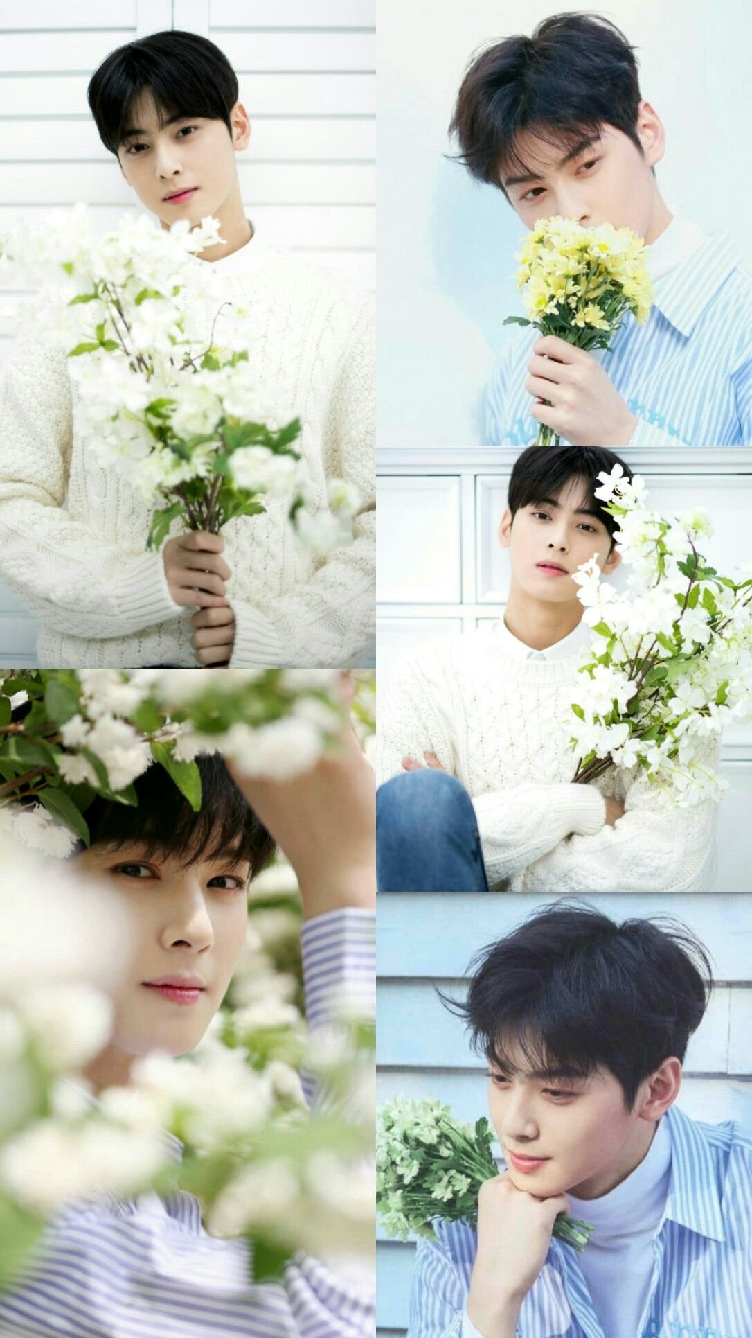 Коллаж Астро Чха Ын у