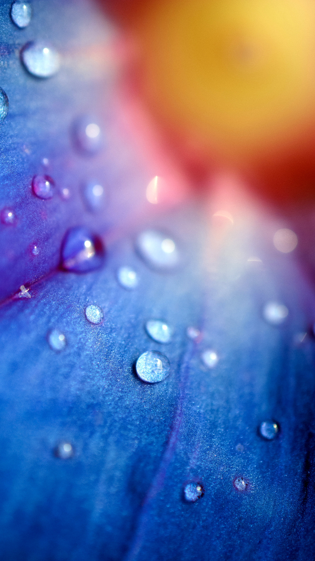 Красивые обои на телефон