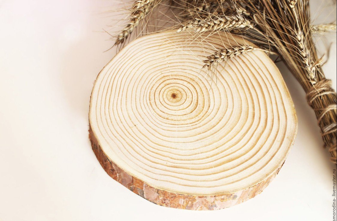 Сибирская лиственница спил