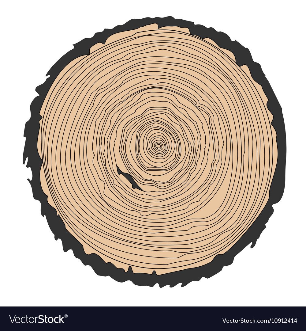 Срез дерева вектор