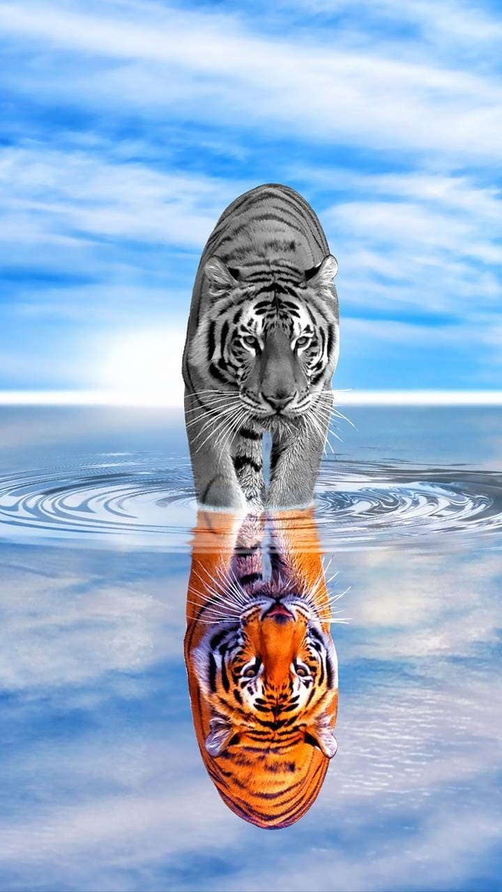 Обои для Samsung Galaxy a30