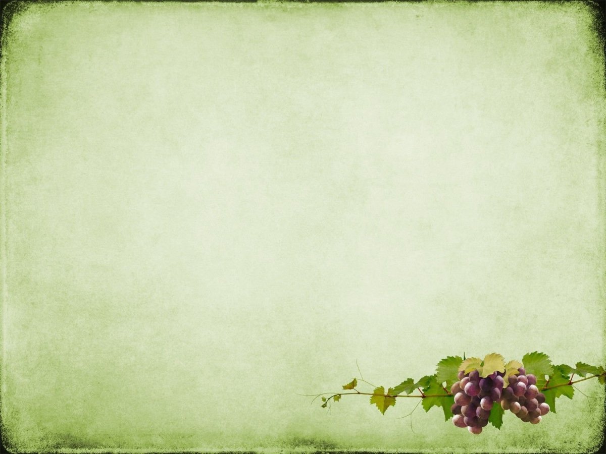 Подложки для слайдов