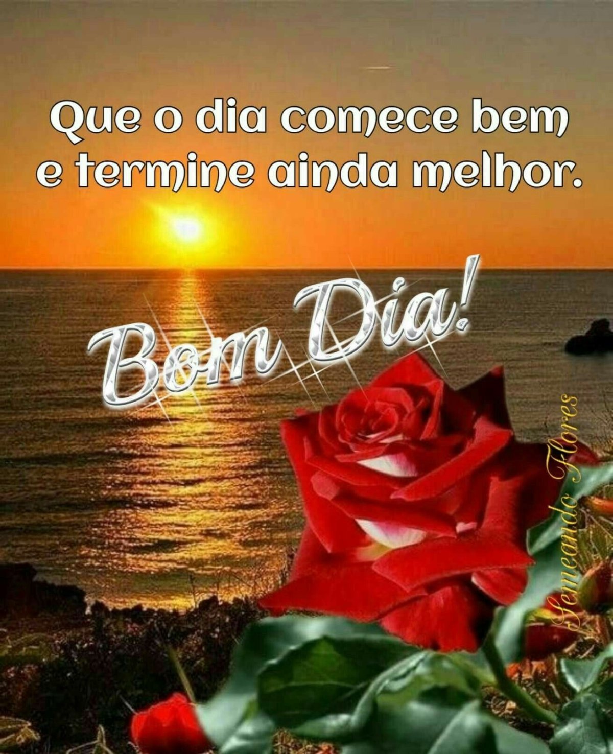 Цветы на фоне океана