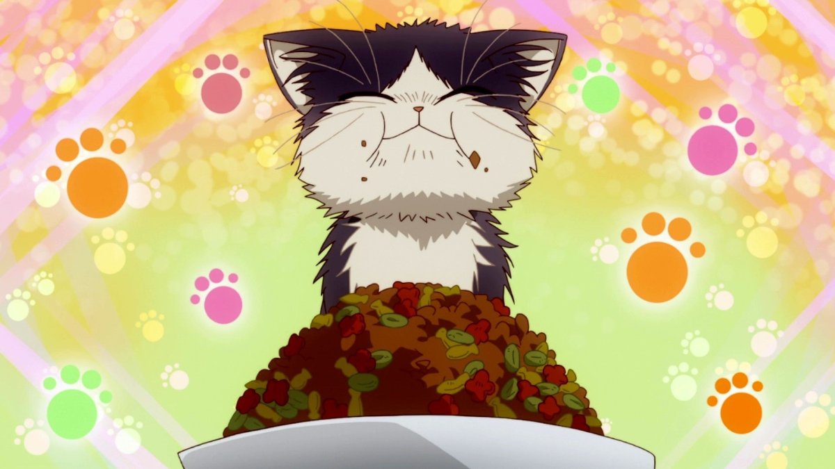 Мультяшный кот на фоне